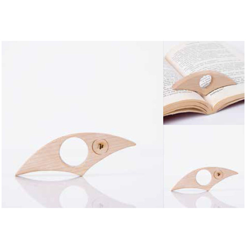 GB Thumb Book Reader